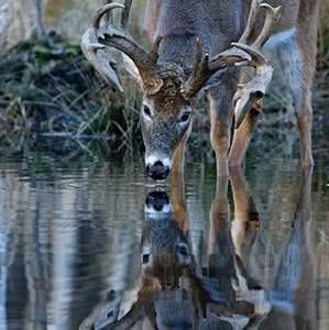 Meet your Posher, Randall